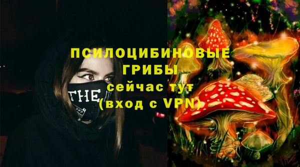 дурь Алексин